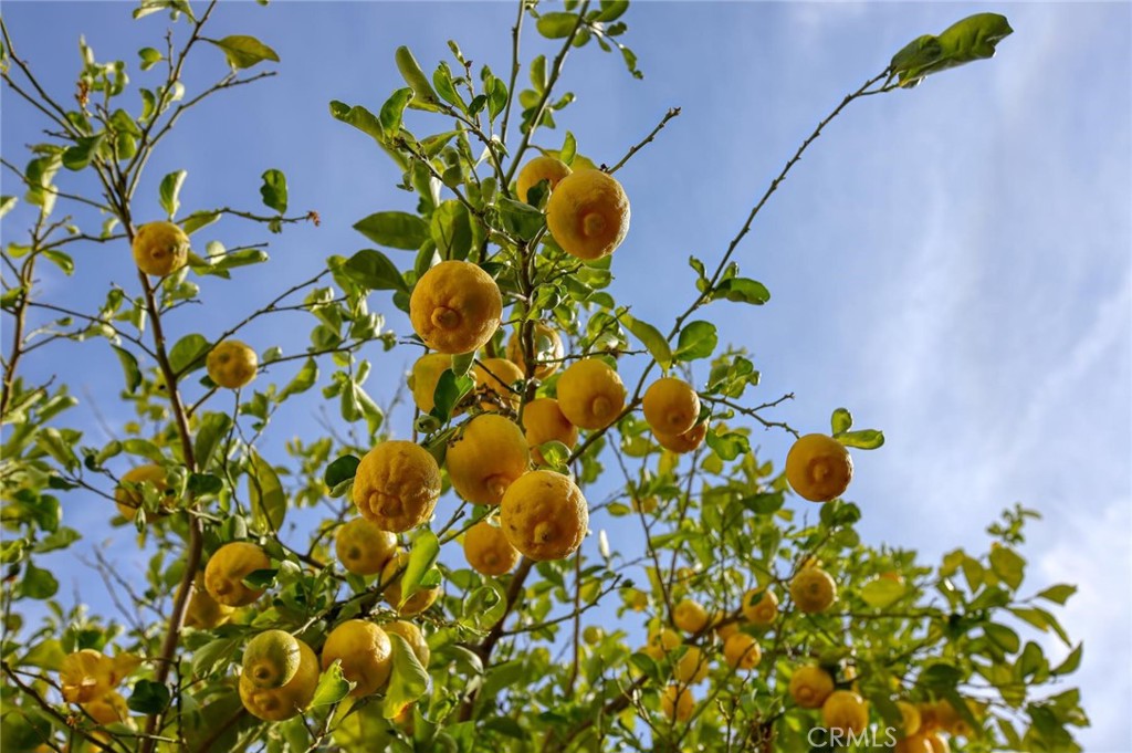 8230 Hillrose Street