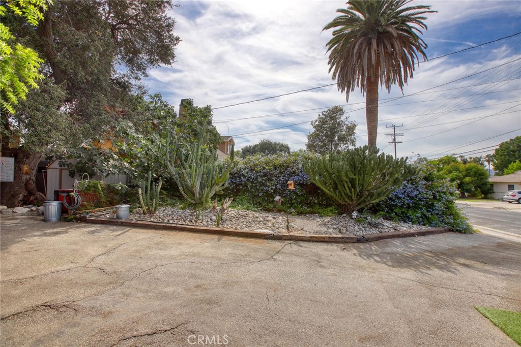 8240 Hillrose Street