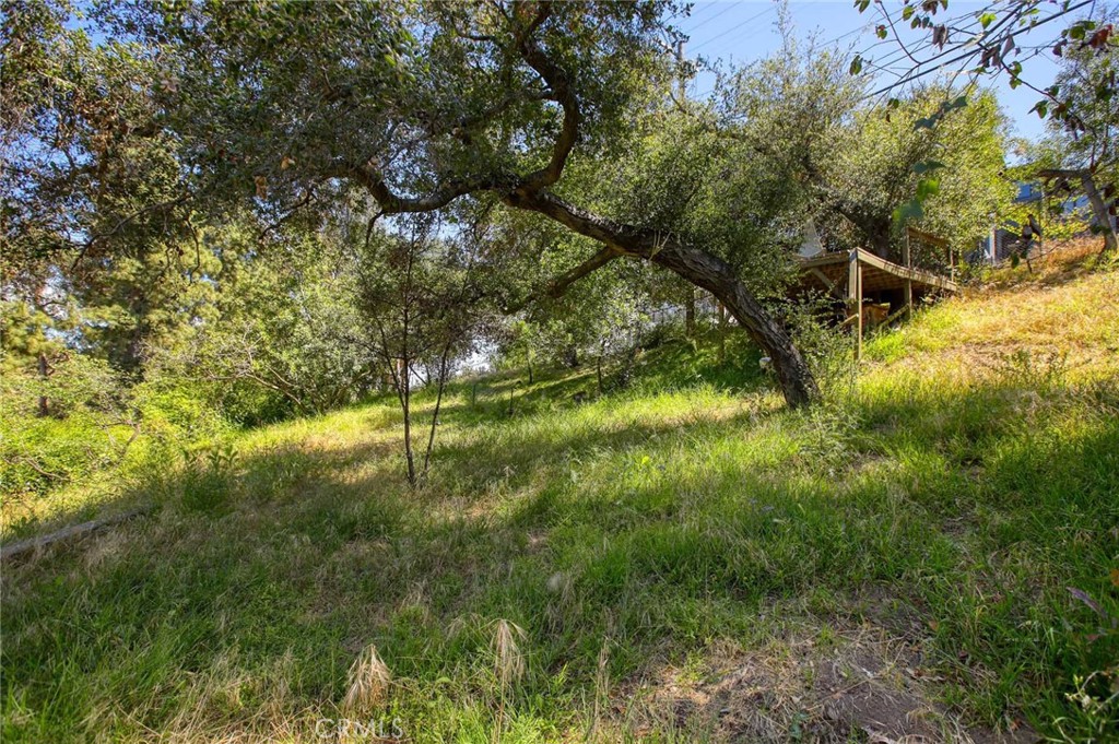 6937 Woodrow Wilson Drive