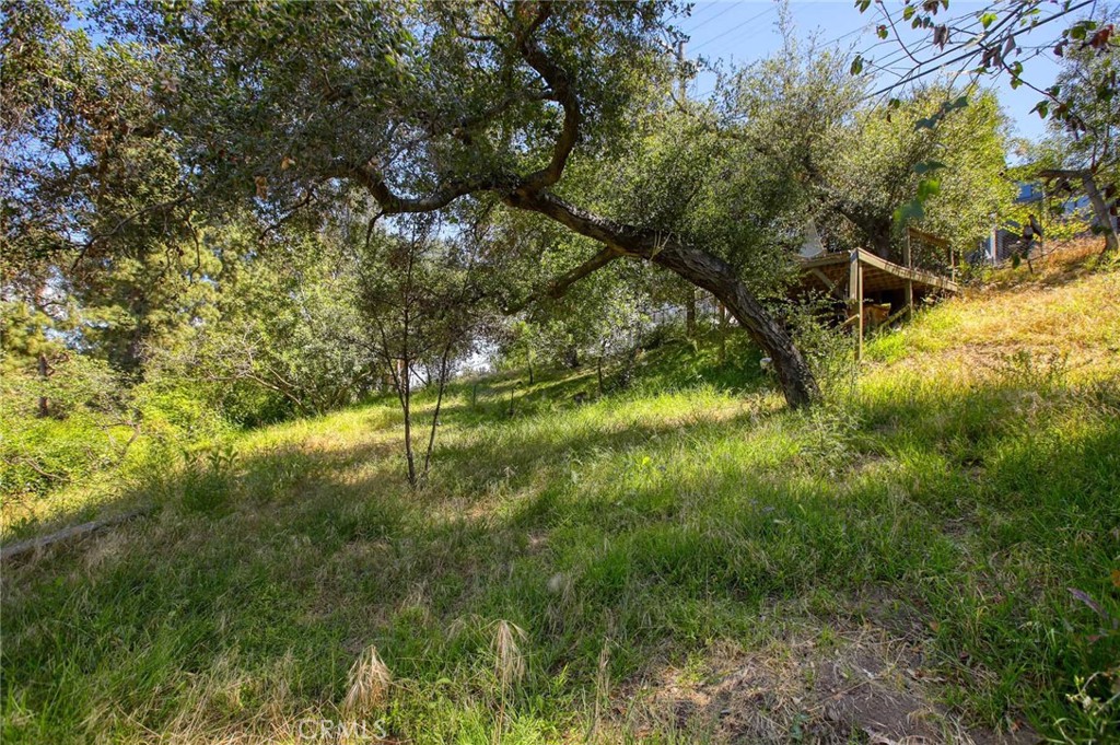 6937 Woodrow Wilson Drive