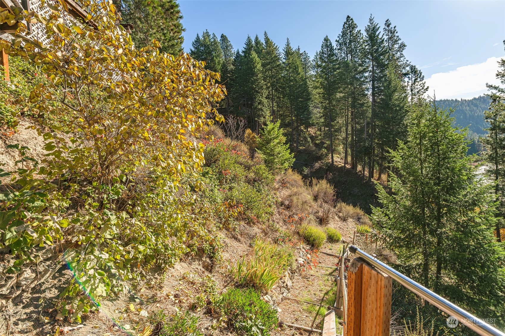 25406 Riata Street , -9703