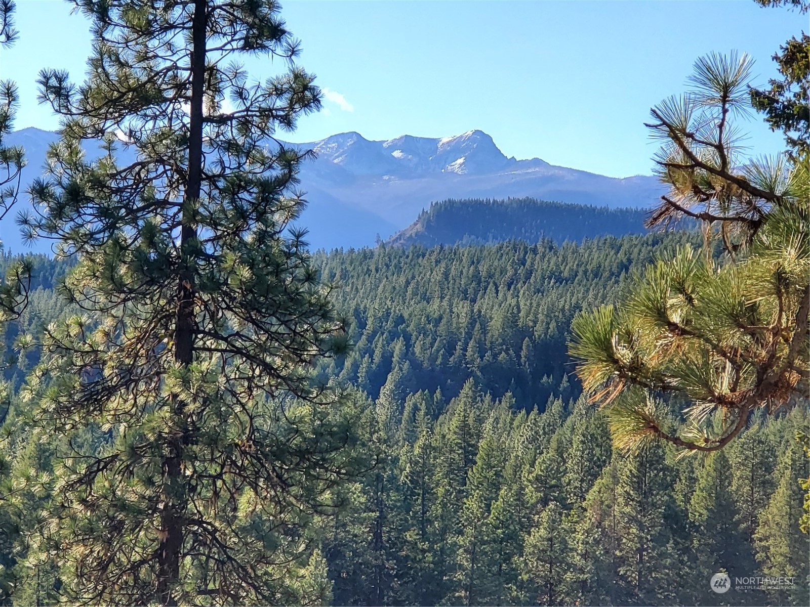 25406 Riata Street , -9703