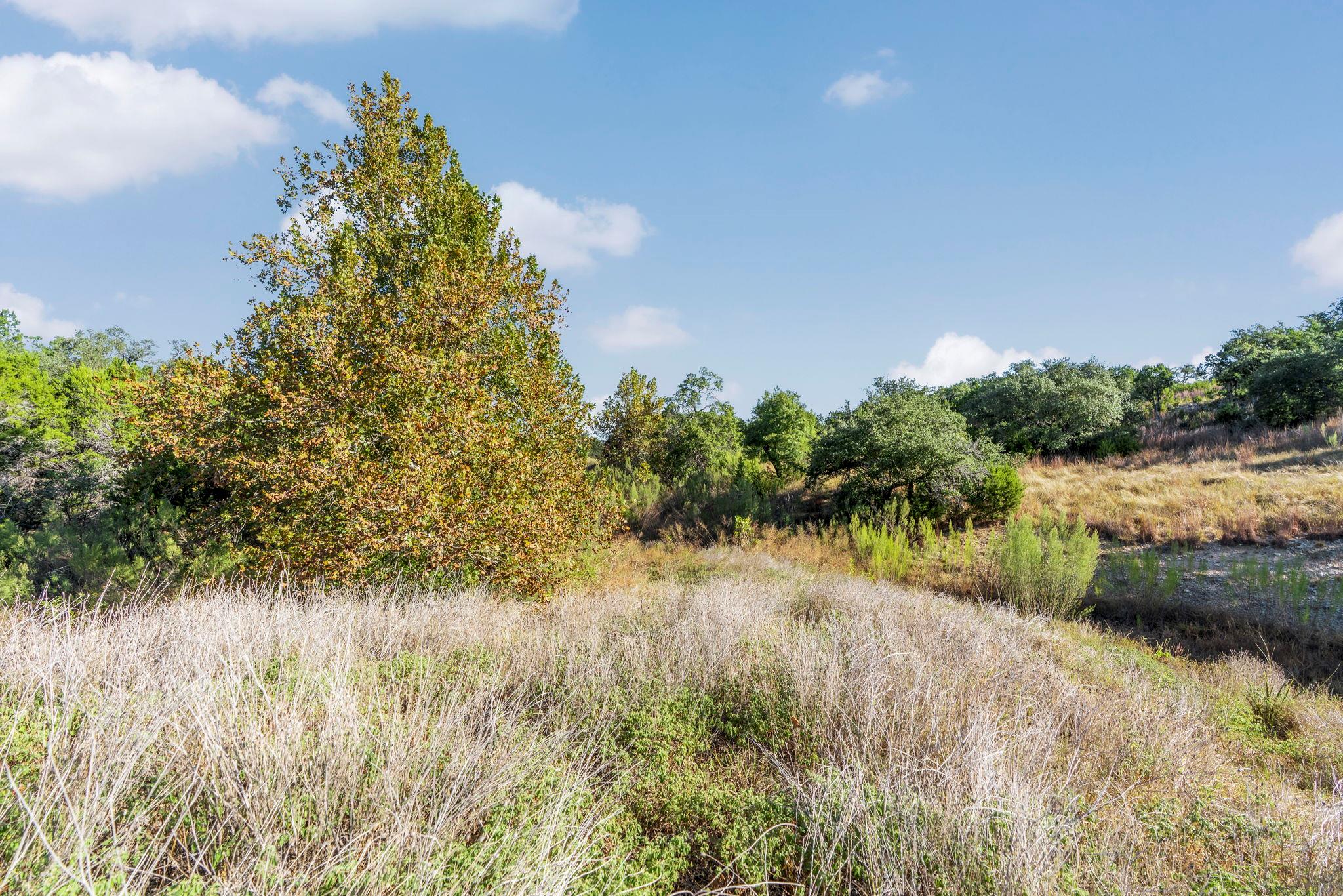 2021 Stagecoach Ranch RD