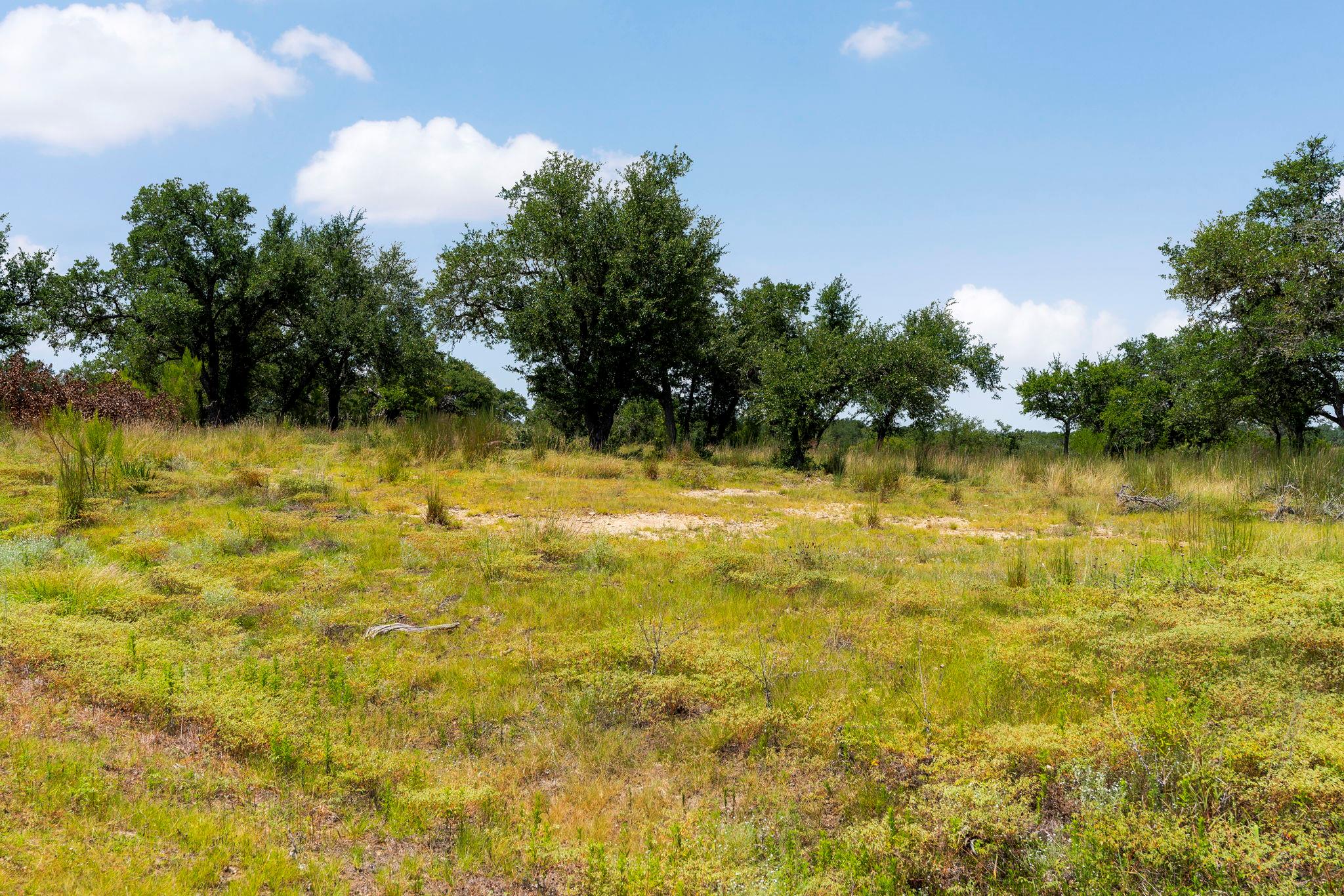 LOT 32 Prancing Deer LN