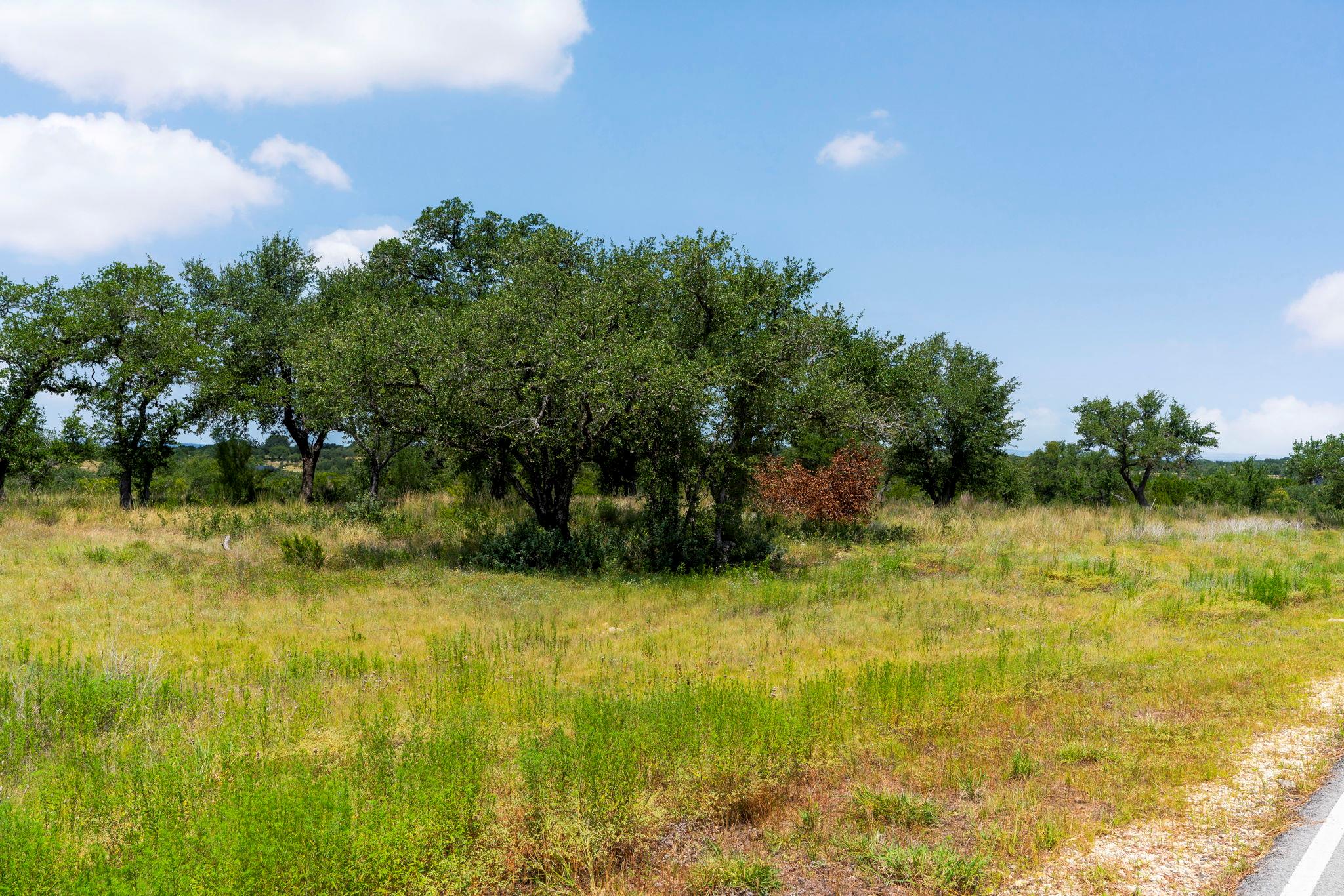 LOT 32 Prancing Deer LN