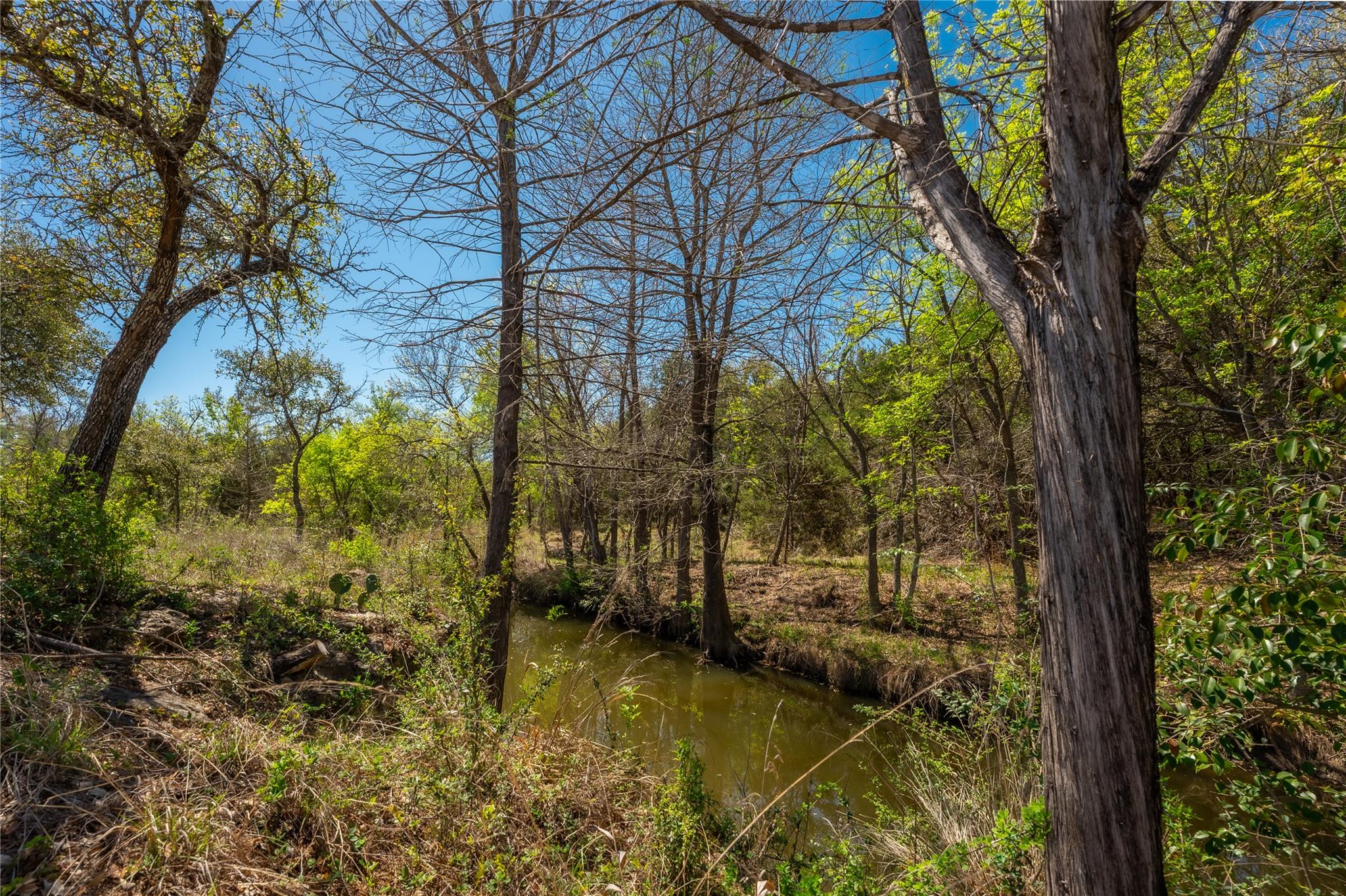 203 Legacy Oaks Ranch DR