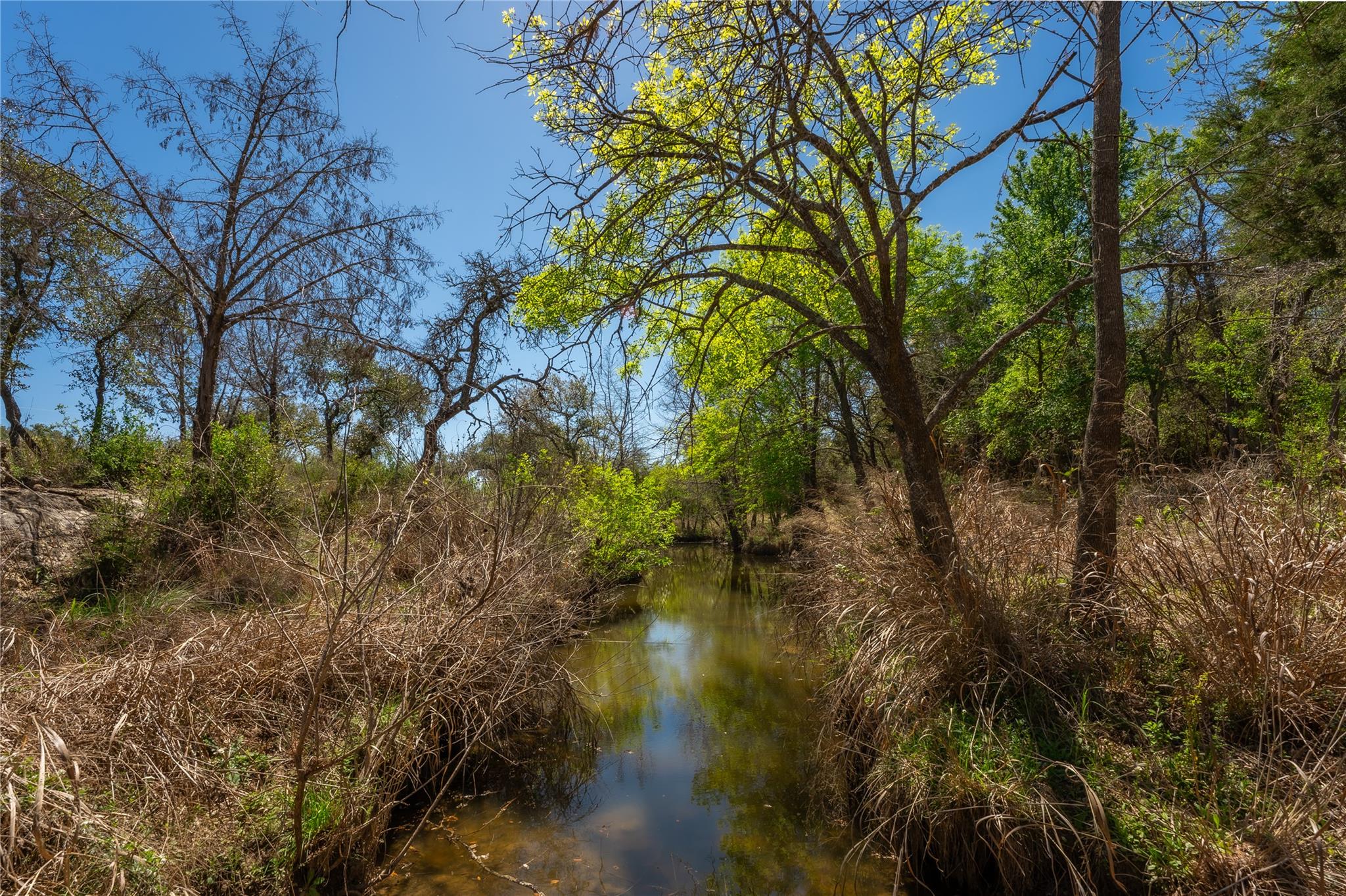 203 Legacy Oaks Ranch DR