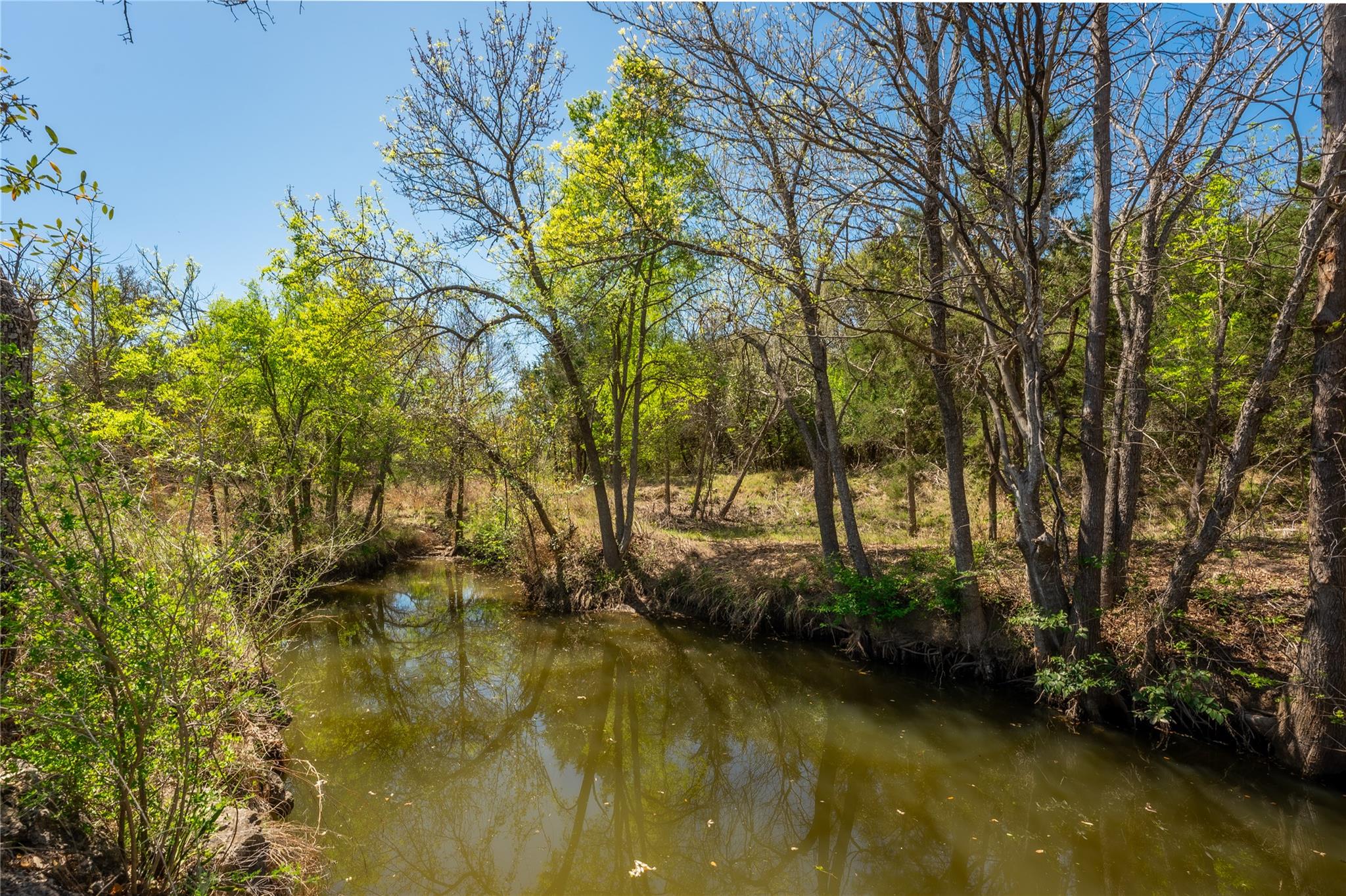 203 Legacy Oaks Ranch DR