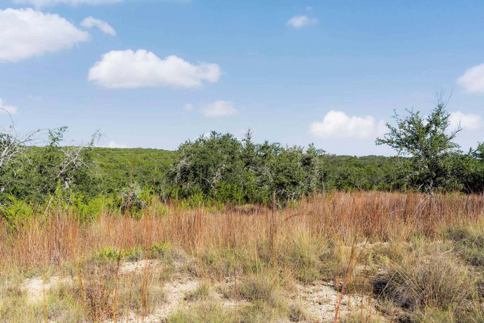 2021 Stagecoach Ranch RD
