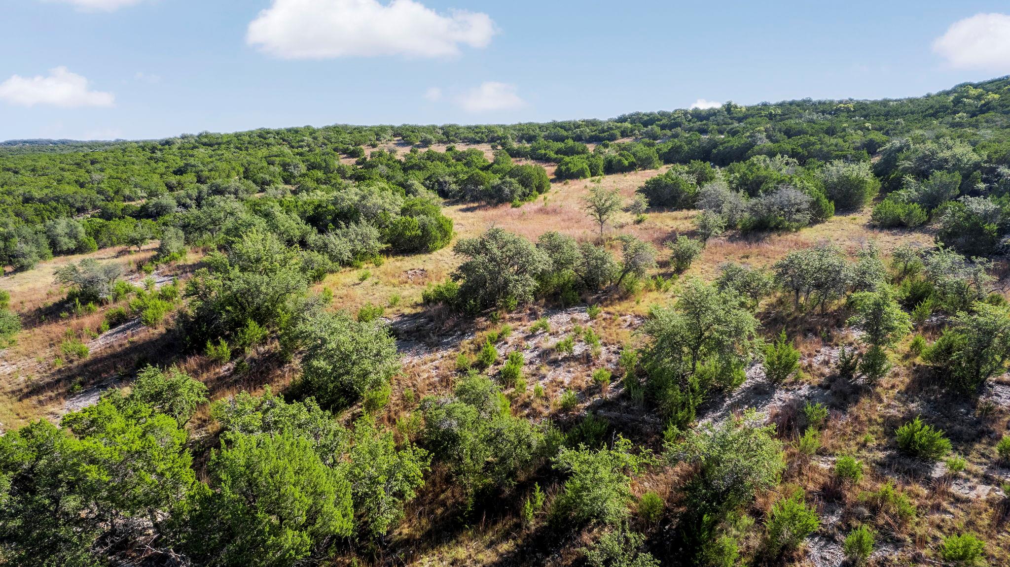 2021 Stagecoach Ranch RD