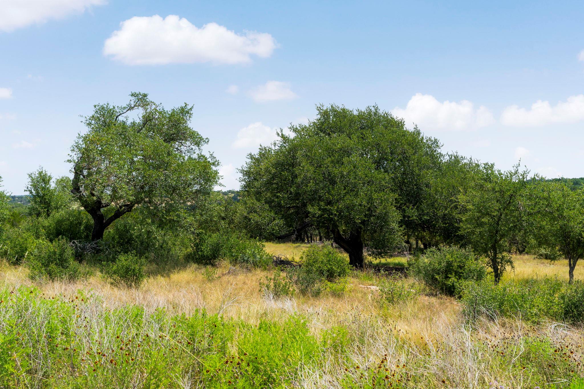 LOT 31 Prancing Deer LN