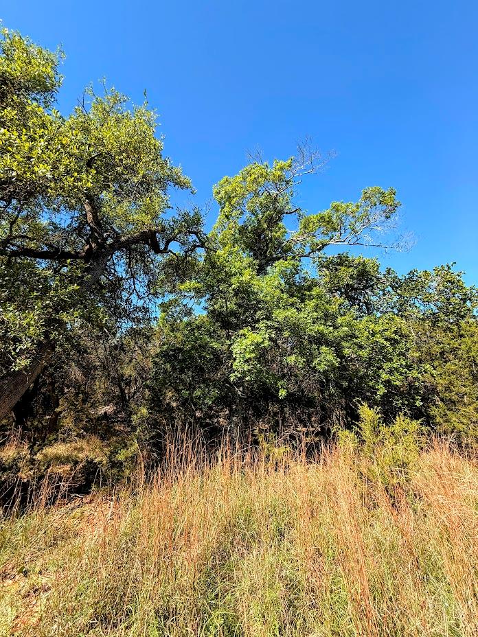 1930 S Rainbow Ranch RD