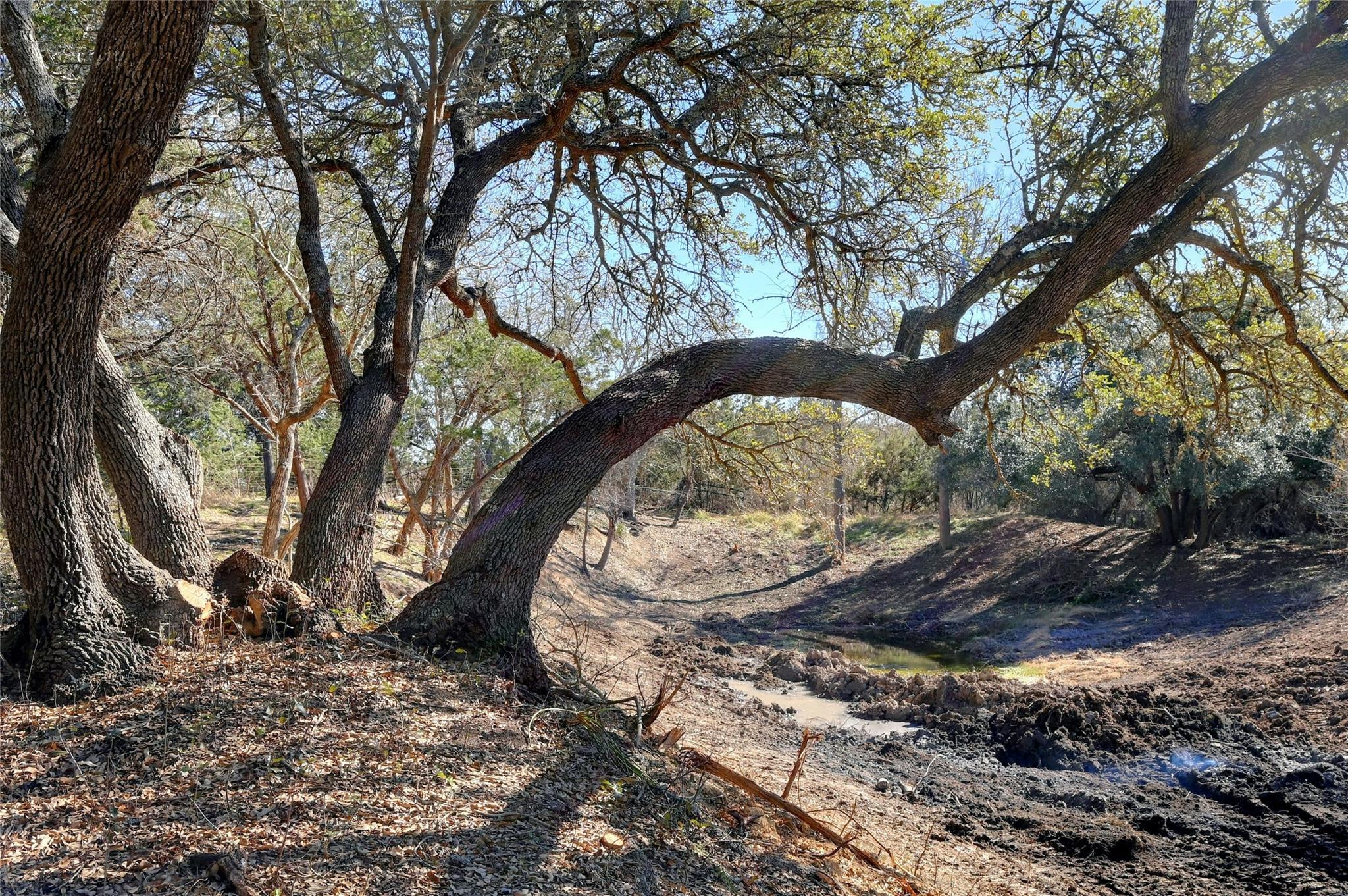 LOT A Ranch Rd 165 RD