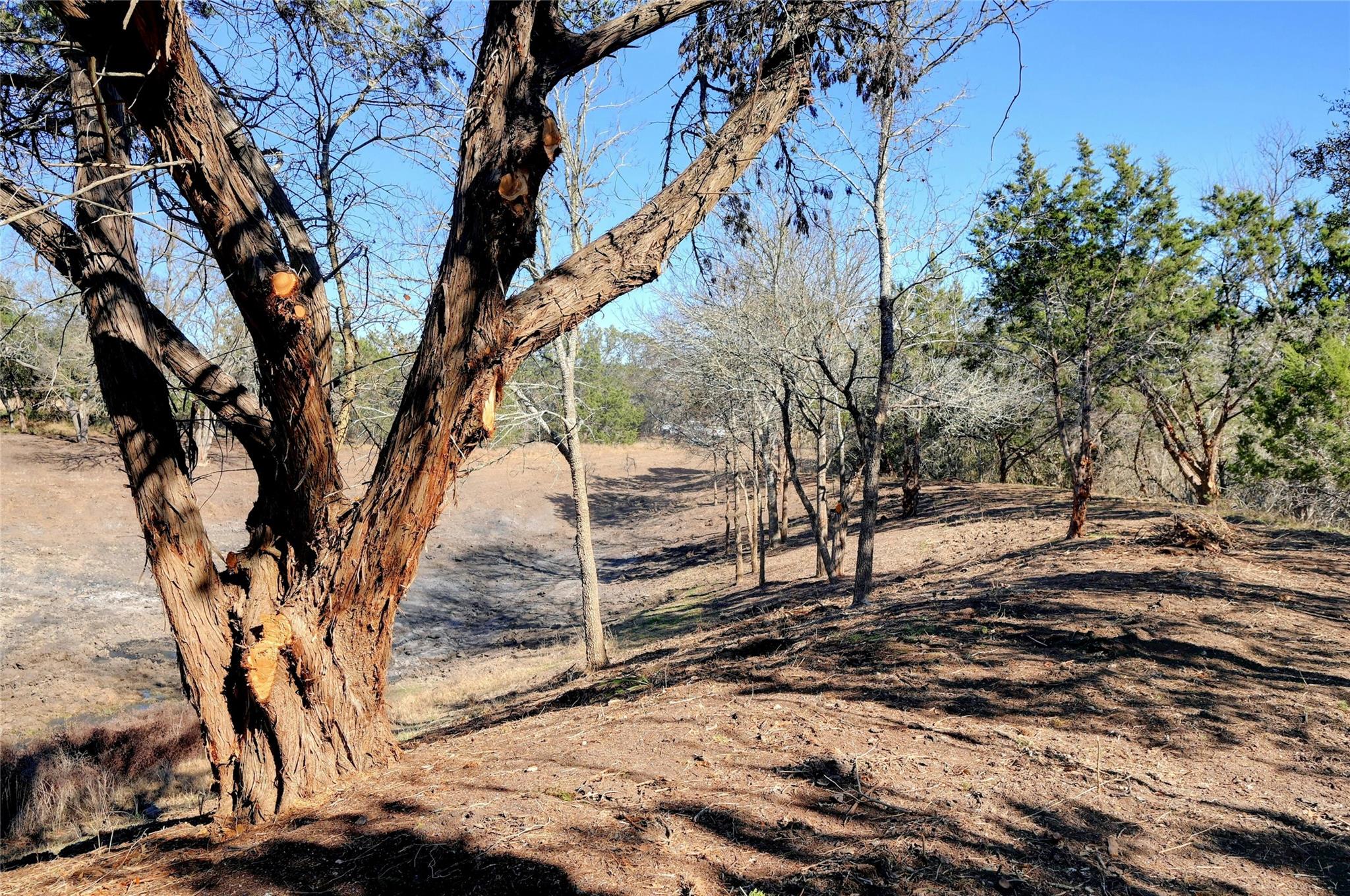 LOT A Ranch Rd 165 RD