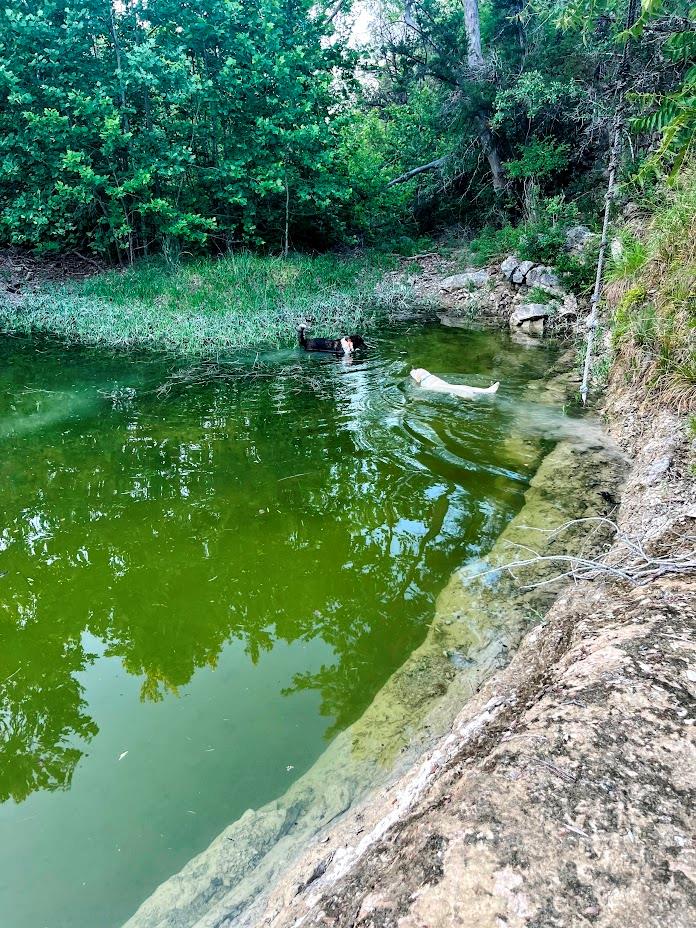 1930 S Rainbow Ranch RD