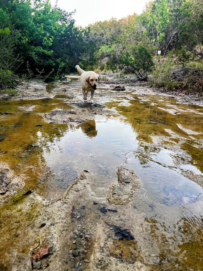 1930 S Rainbow Ranch RD