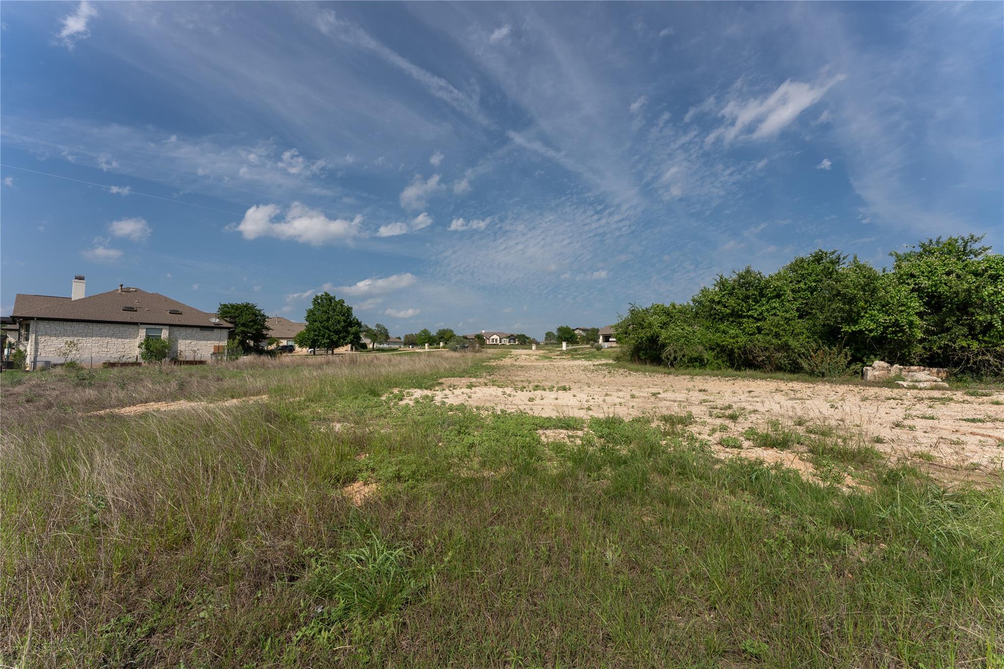 143 Prairie Grass CV
