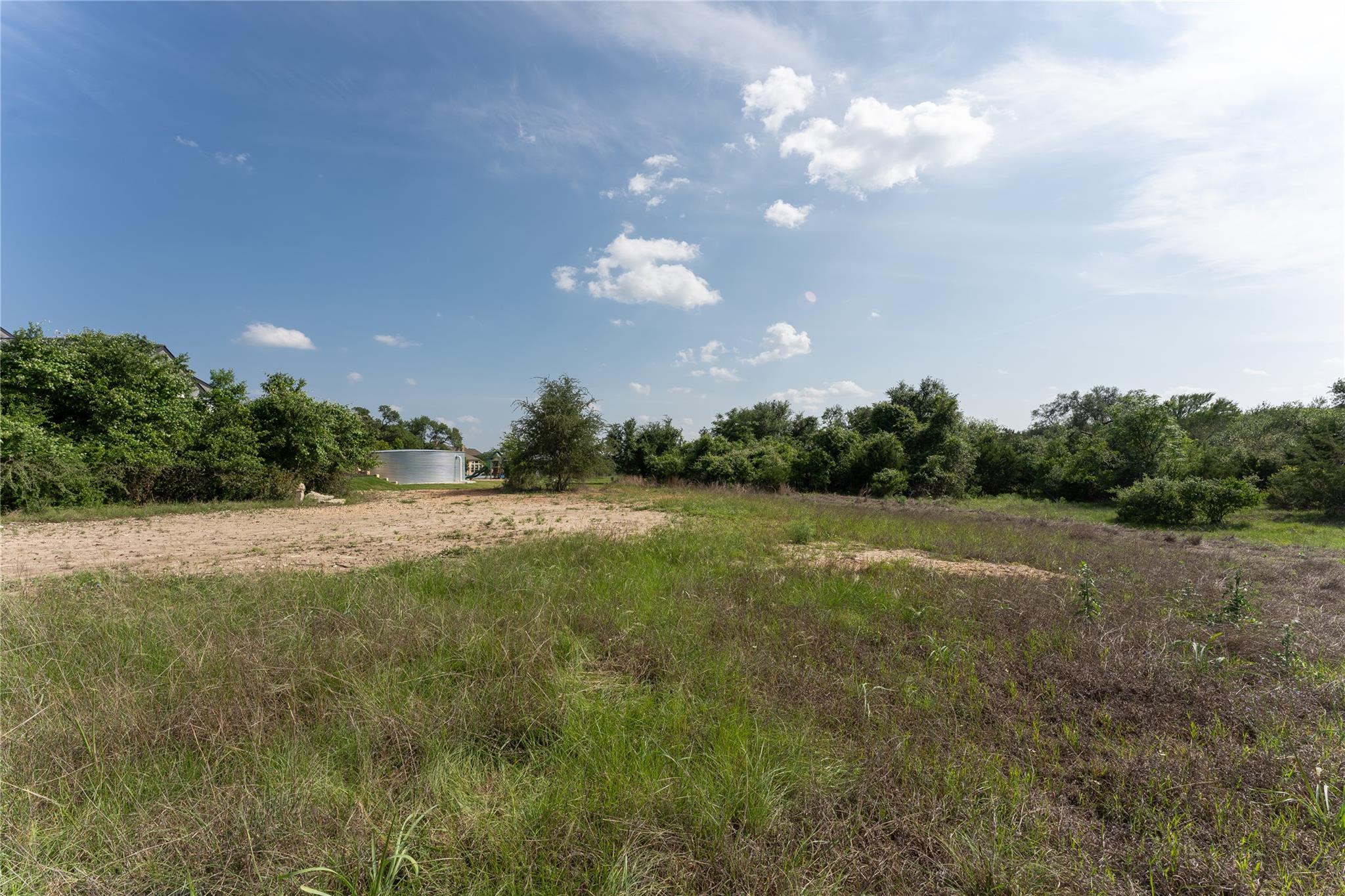 143 Prairie Grass CV