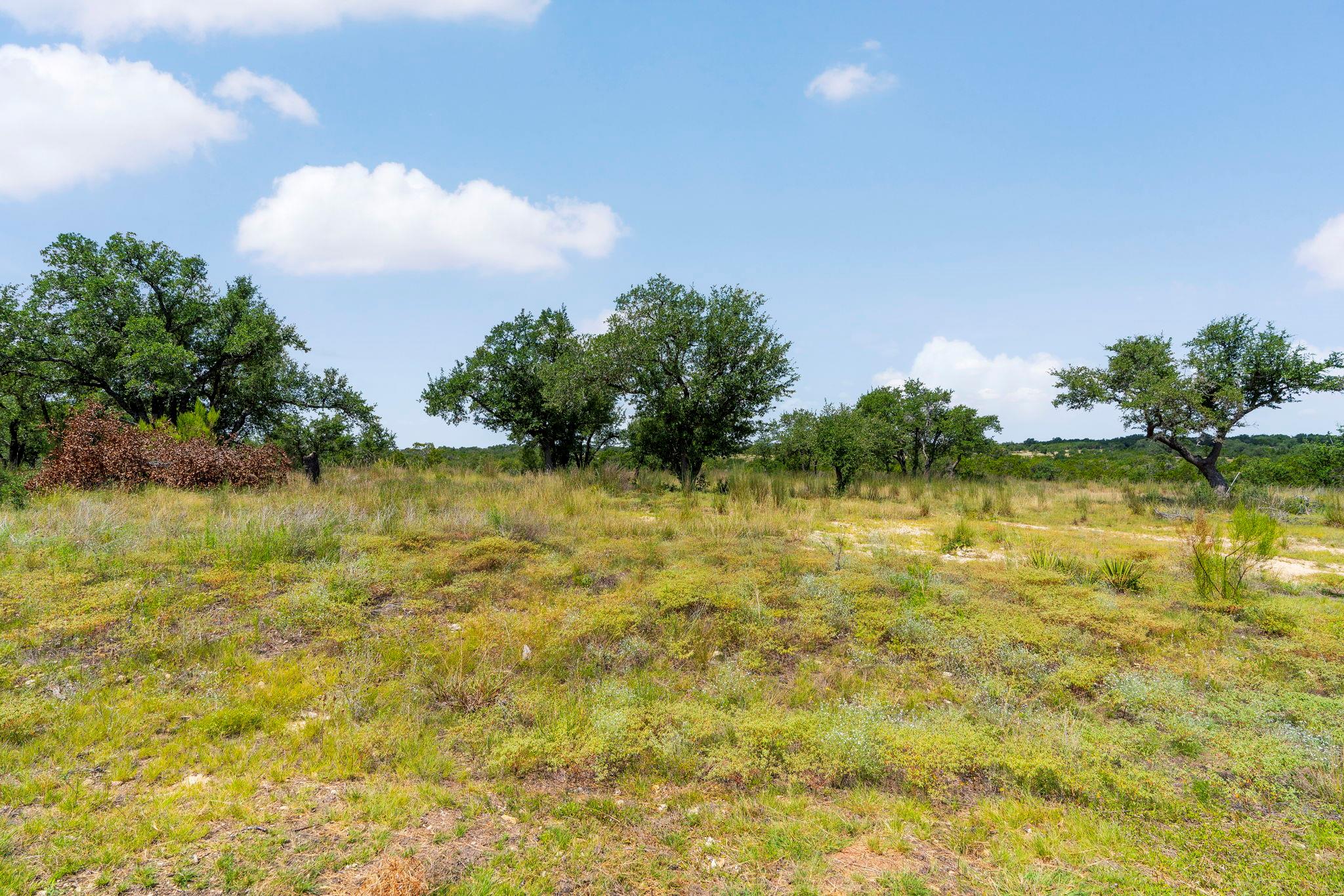 LOT 32 Prancing Deer LN