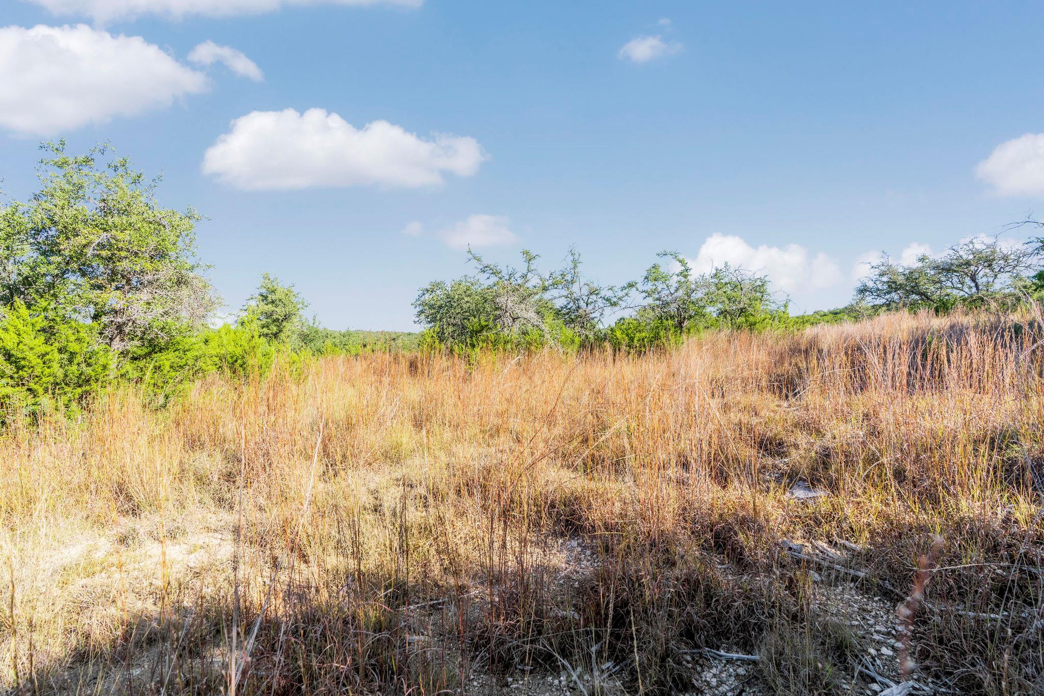 2021 Stagecoach Ranch RD