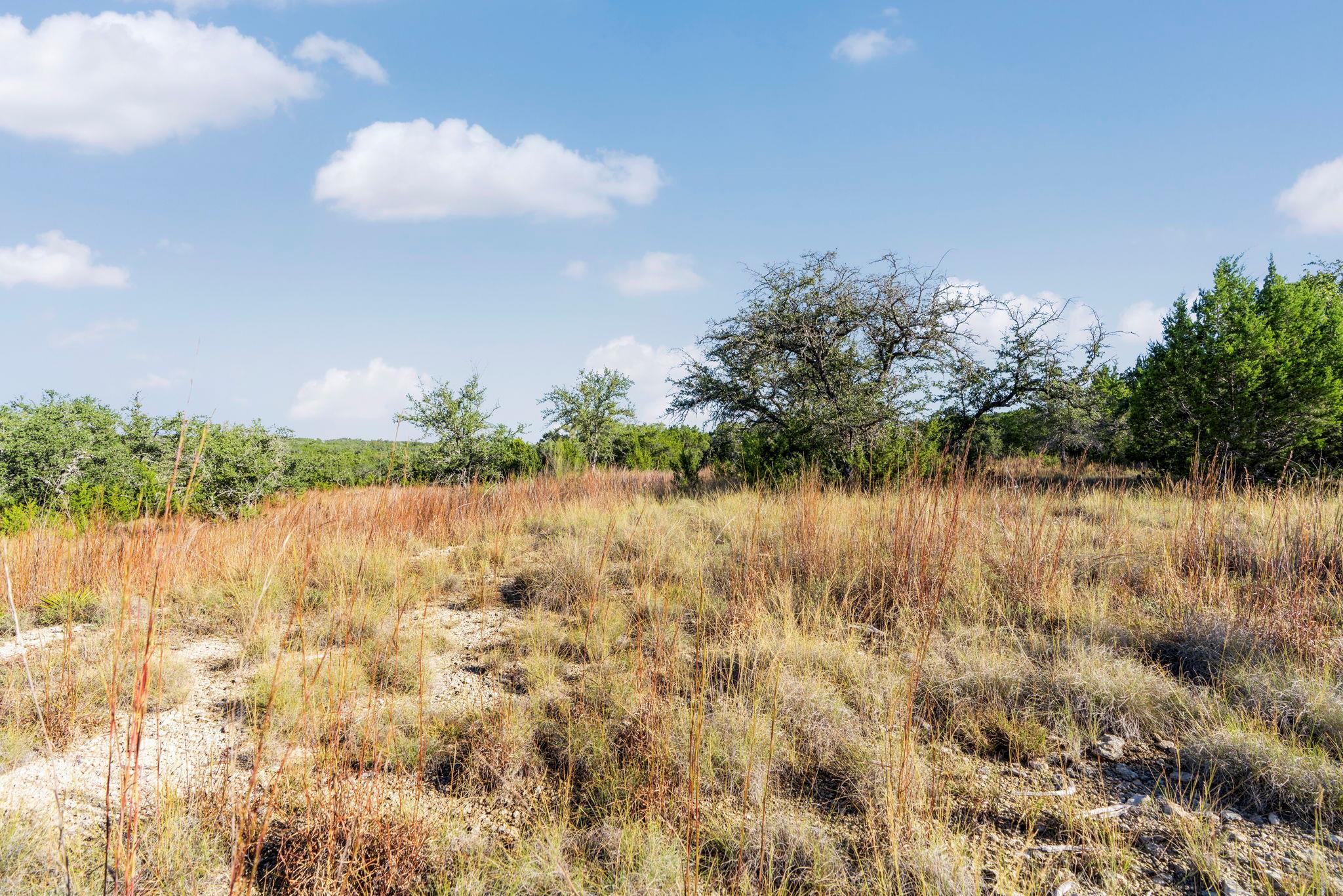 2021 Stagecoach Ranch RD