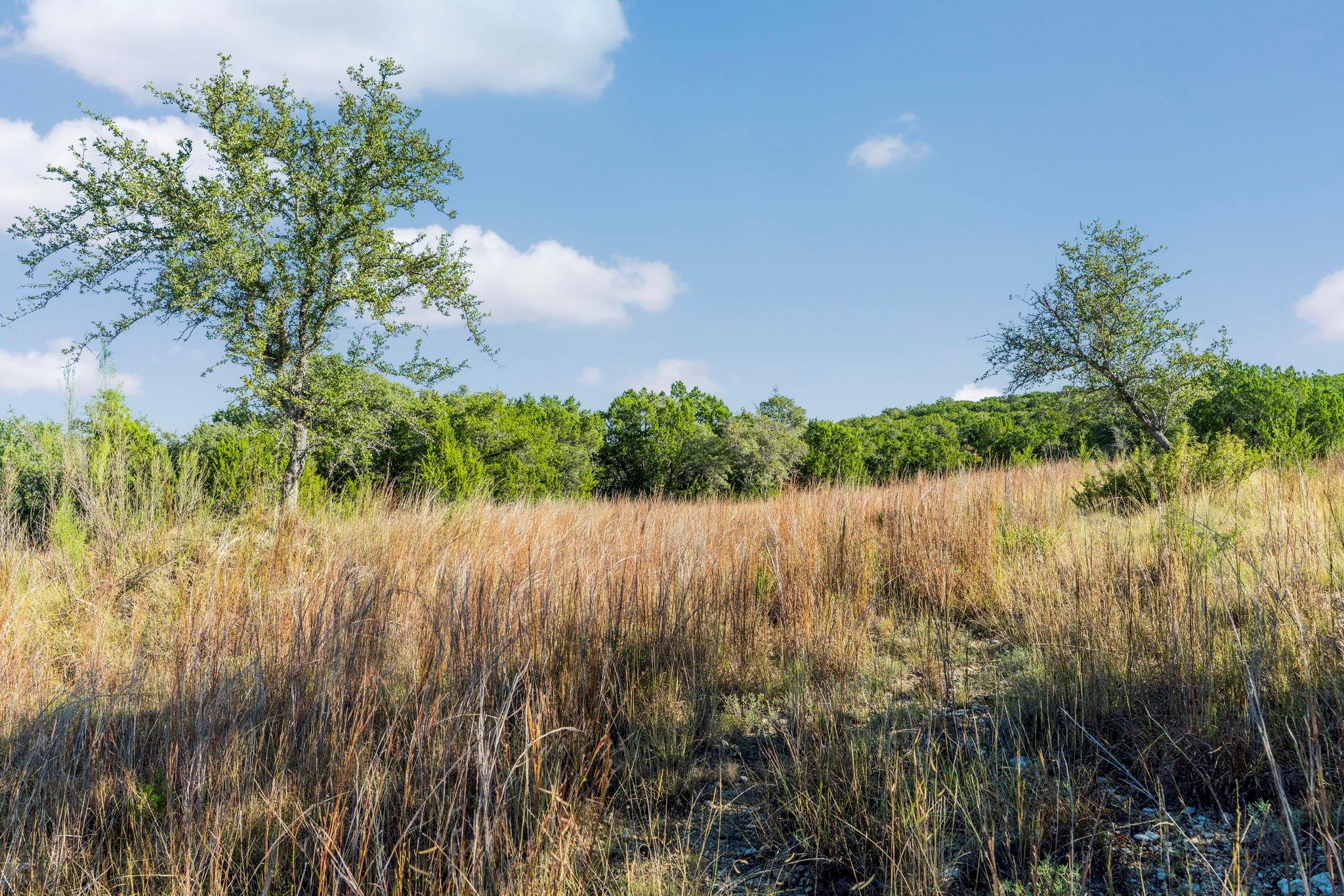 2021 Stagecoach Ranch RD