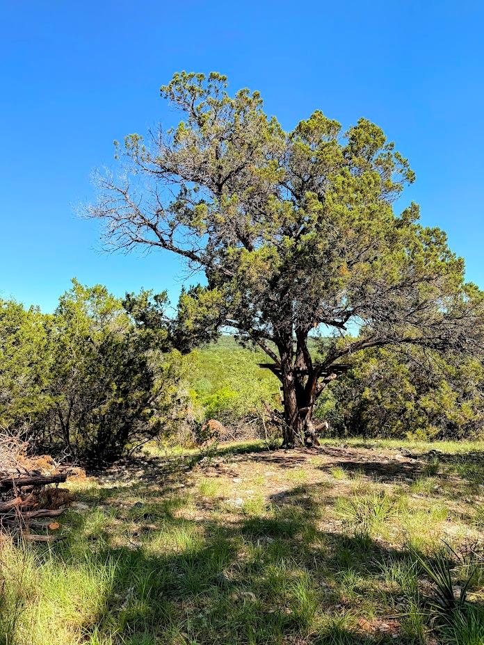 1930 S Rainbow Ranch RD