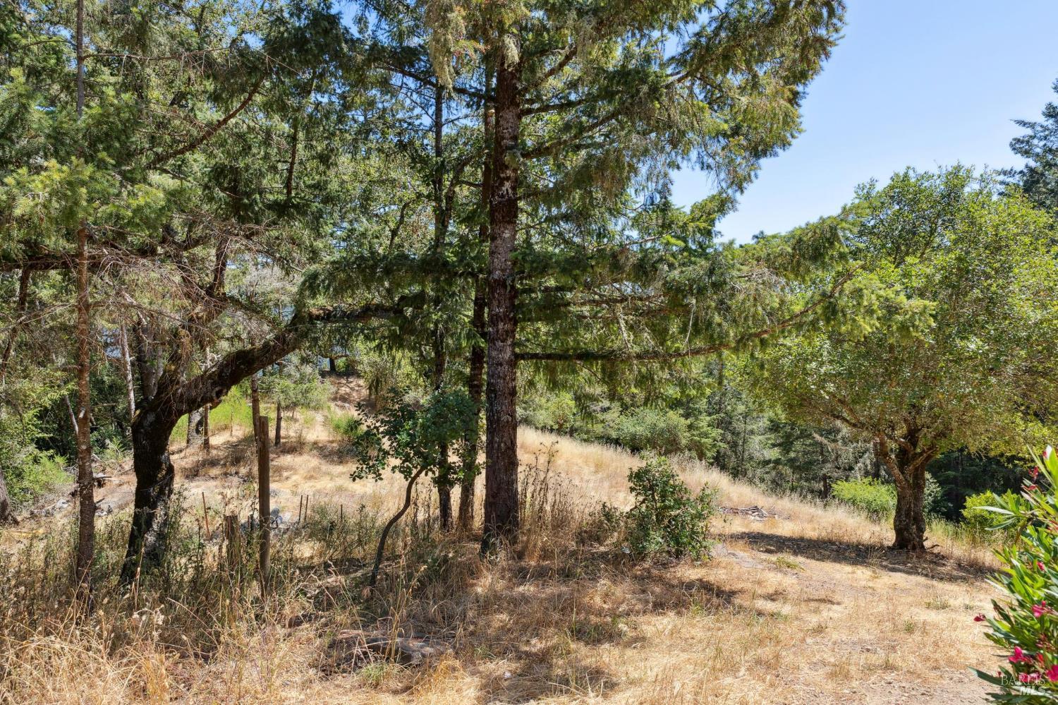21540 Siri Road