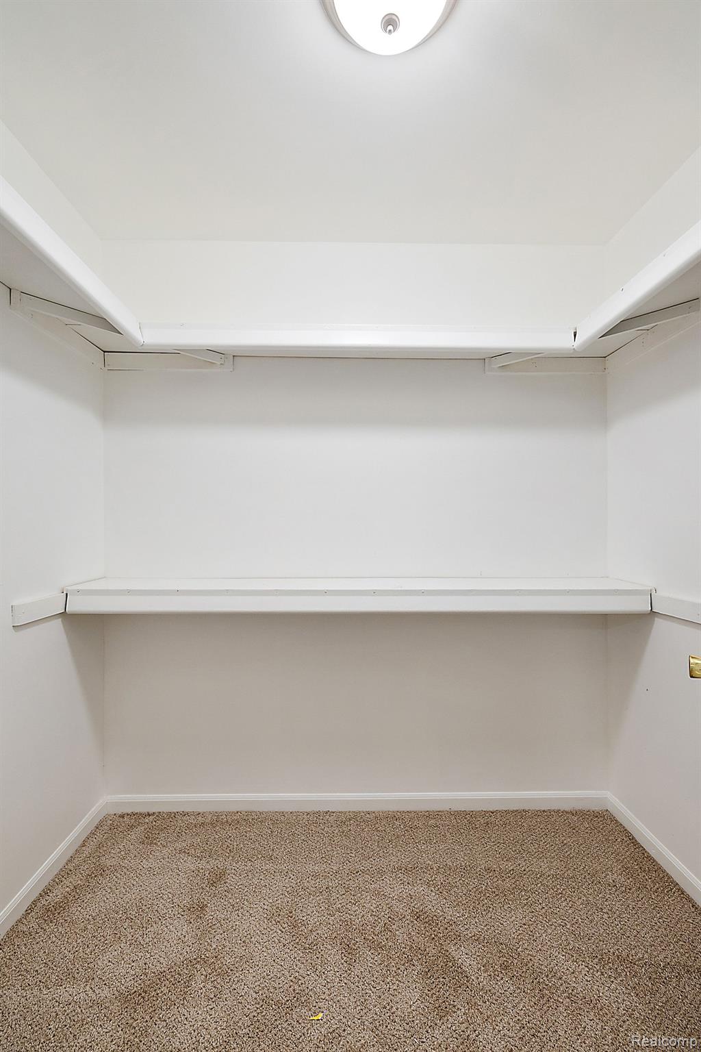 17517 SILVER MAPLE Drive