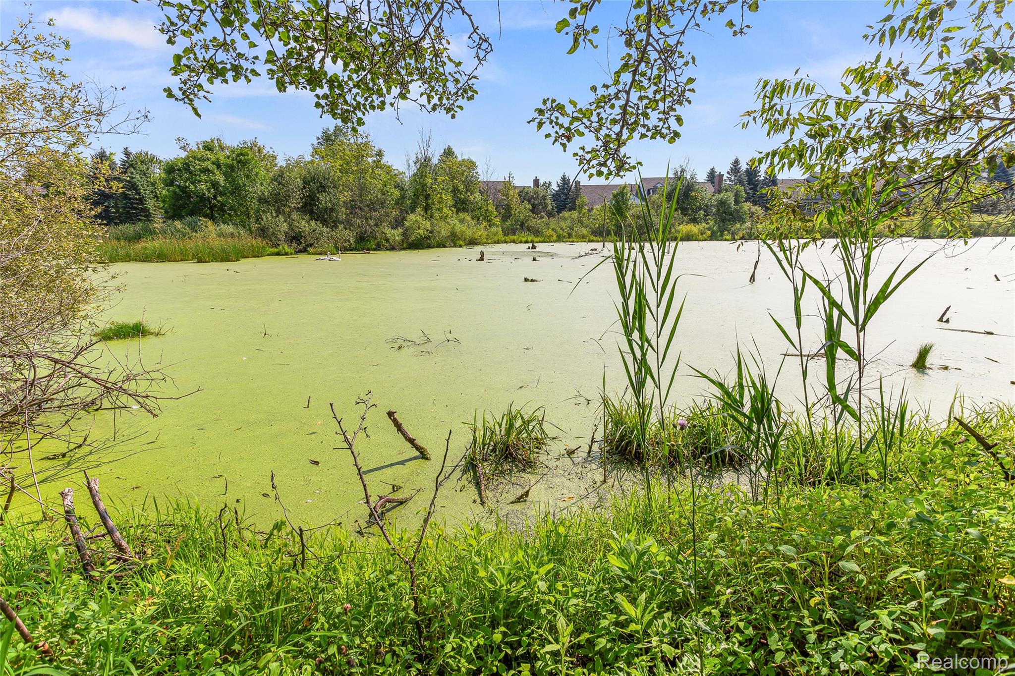 5093 Creekmonte Drive