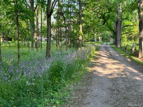 61995 Mount Vernon Road