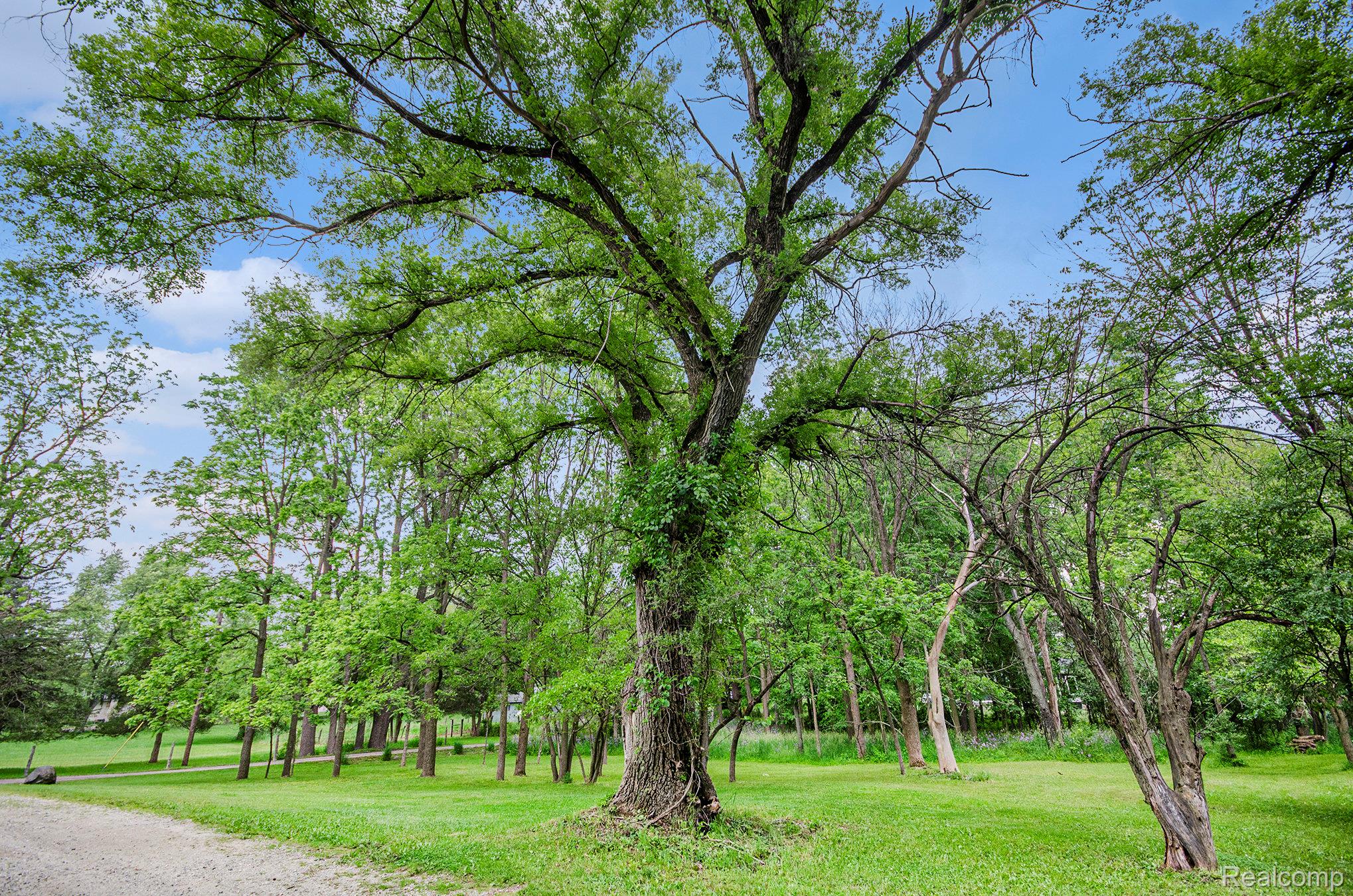 61995 Mount Vernon Road