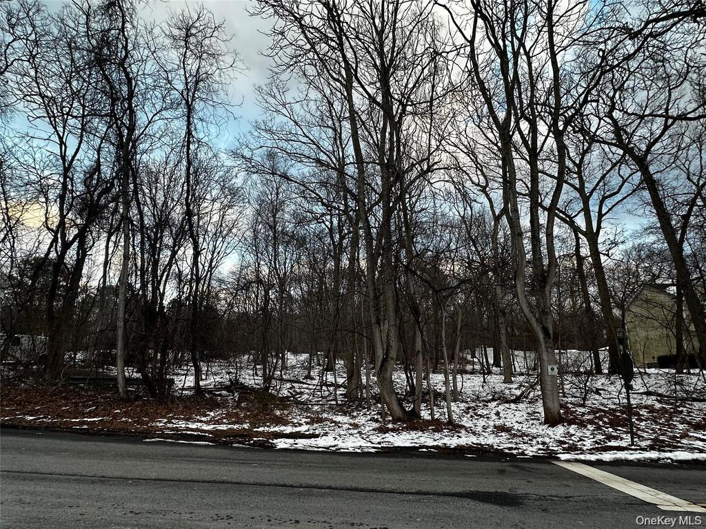 W Bartlett Road
