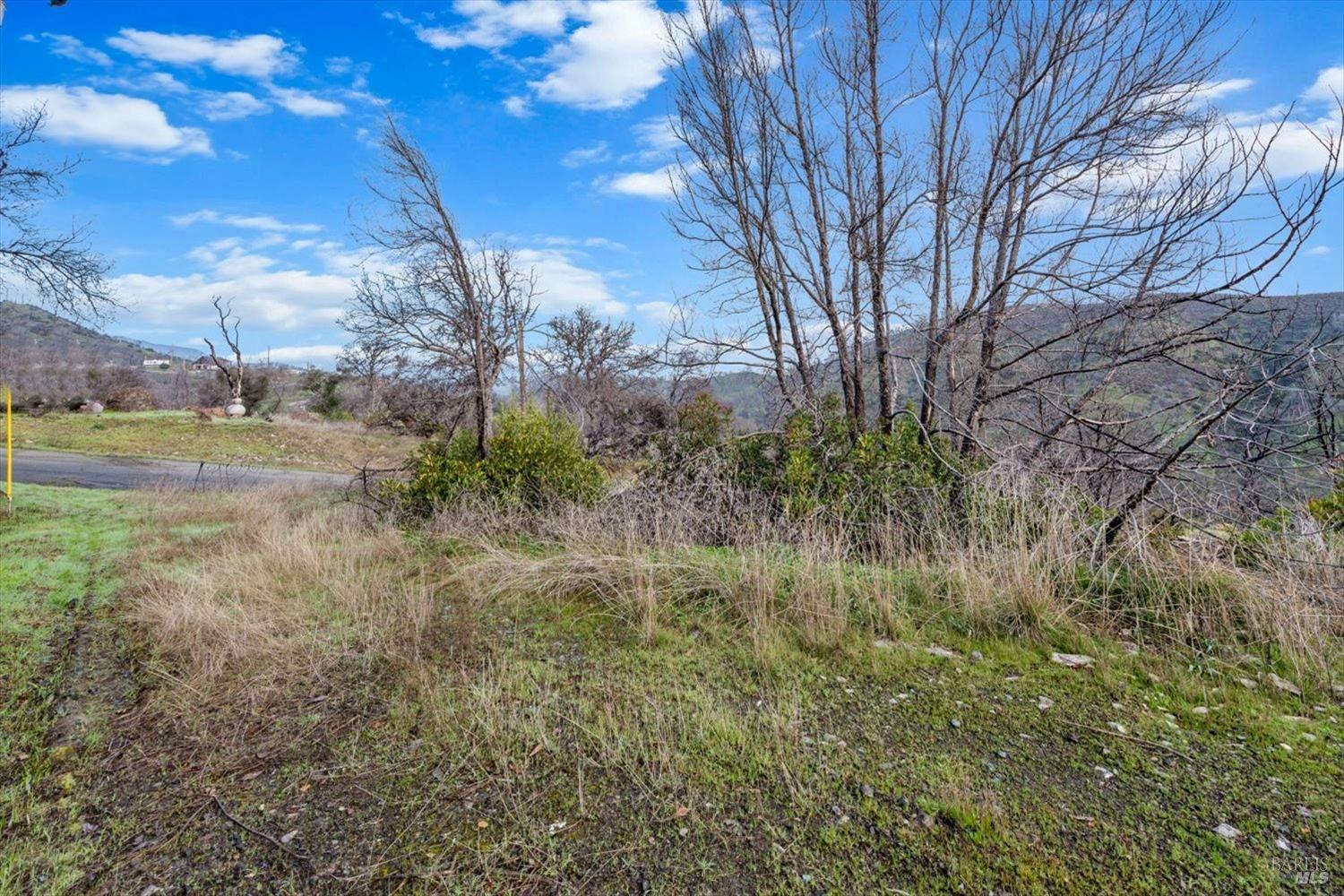 8 Live Oak Lane