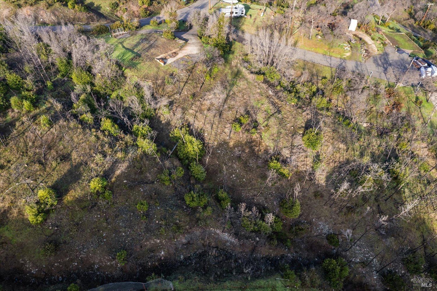 8 Live Oak Lane