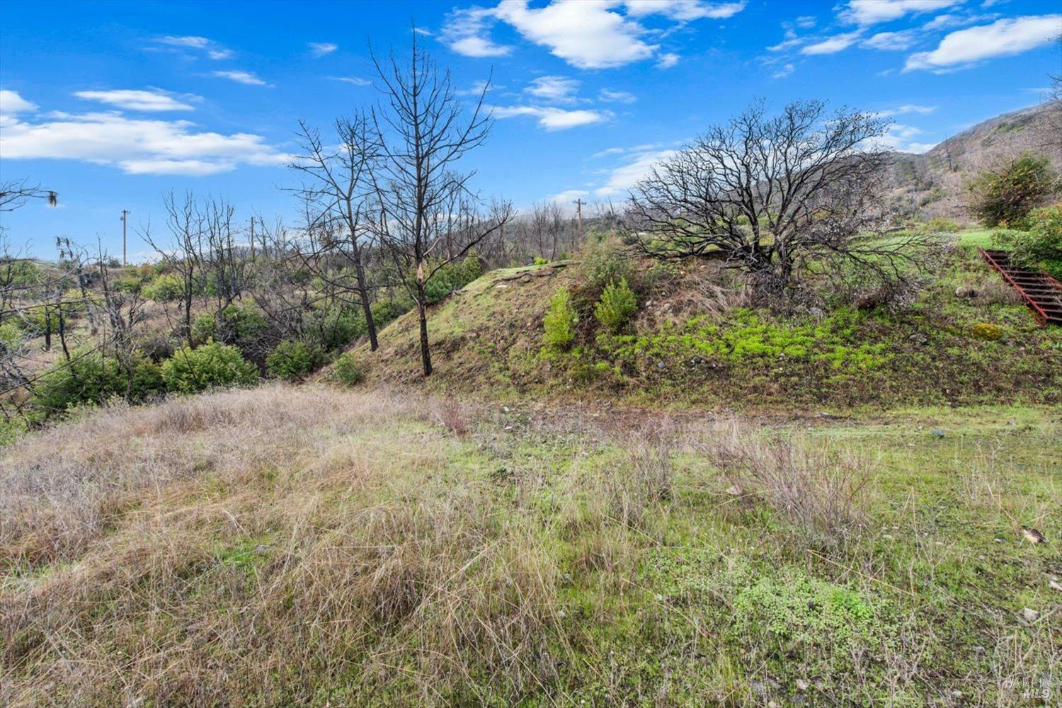 8 Live Oak Lane