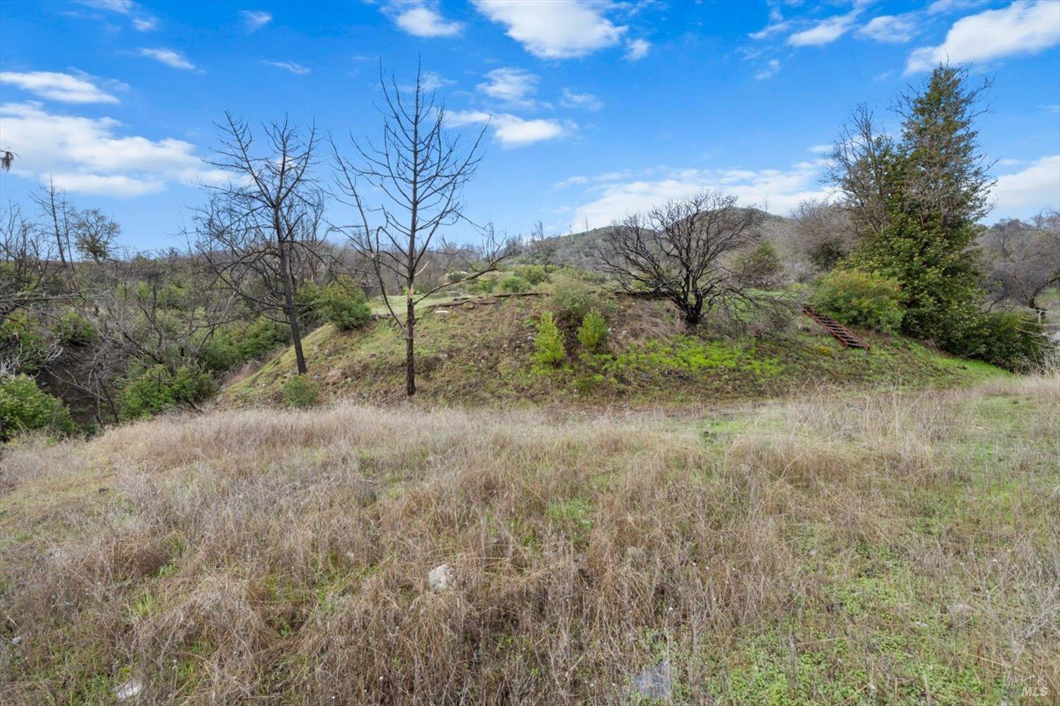 8 Live Oak Lane