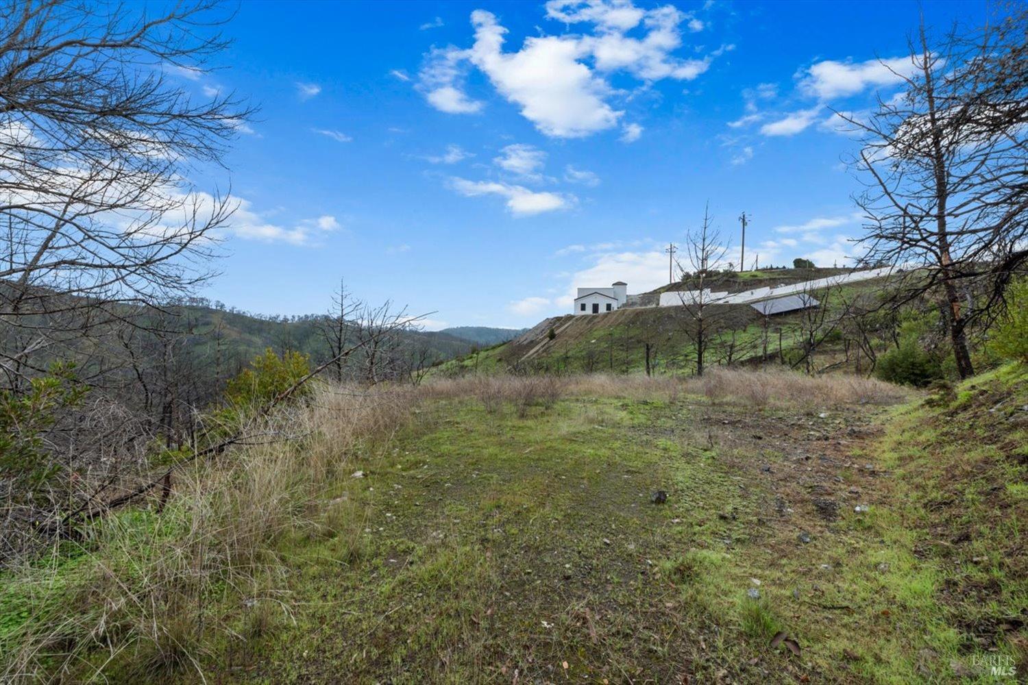 8 Live Oak Lane