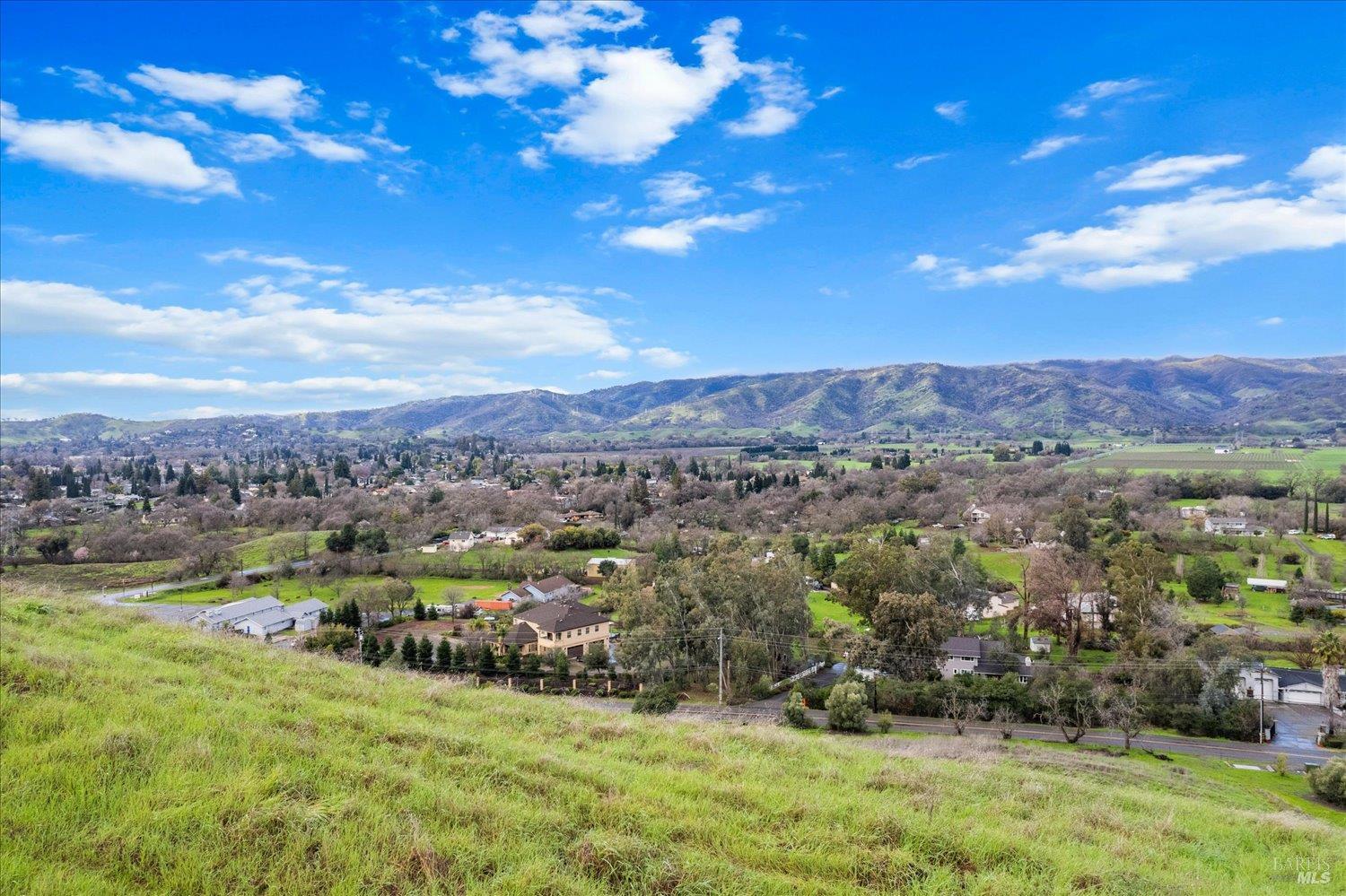 Campini Estates Dr