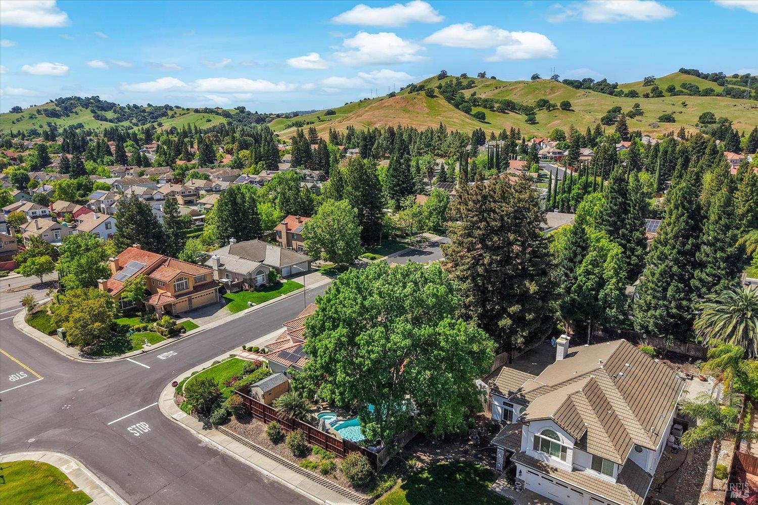 501 Canyon Oak Drive