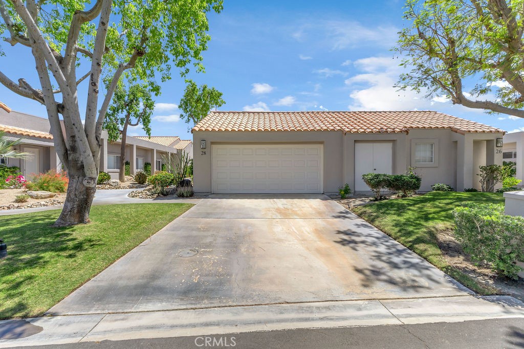28 Oak Tree