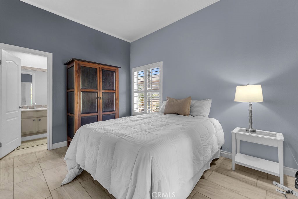 28 Oak Tree