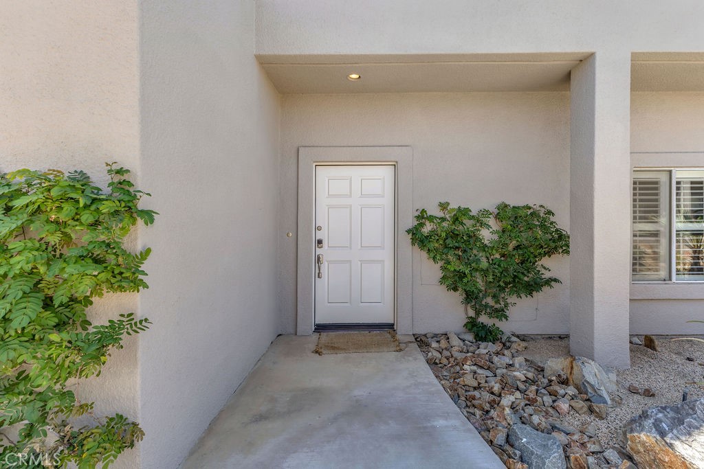 28 Oak Tree
