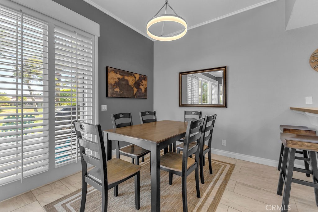 28 Oak Tree