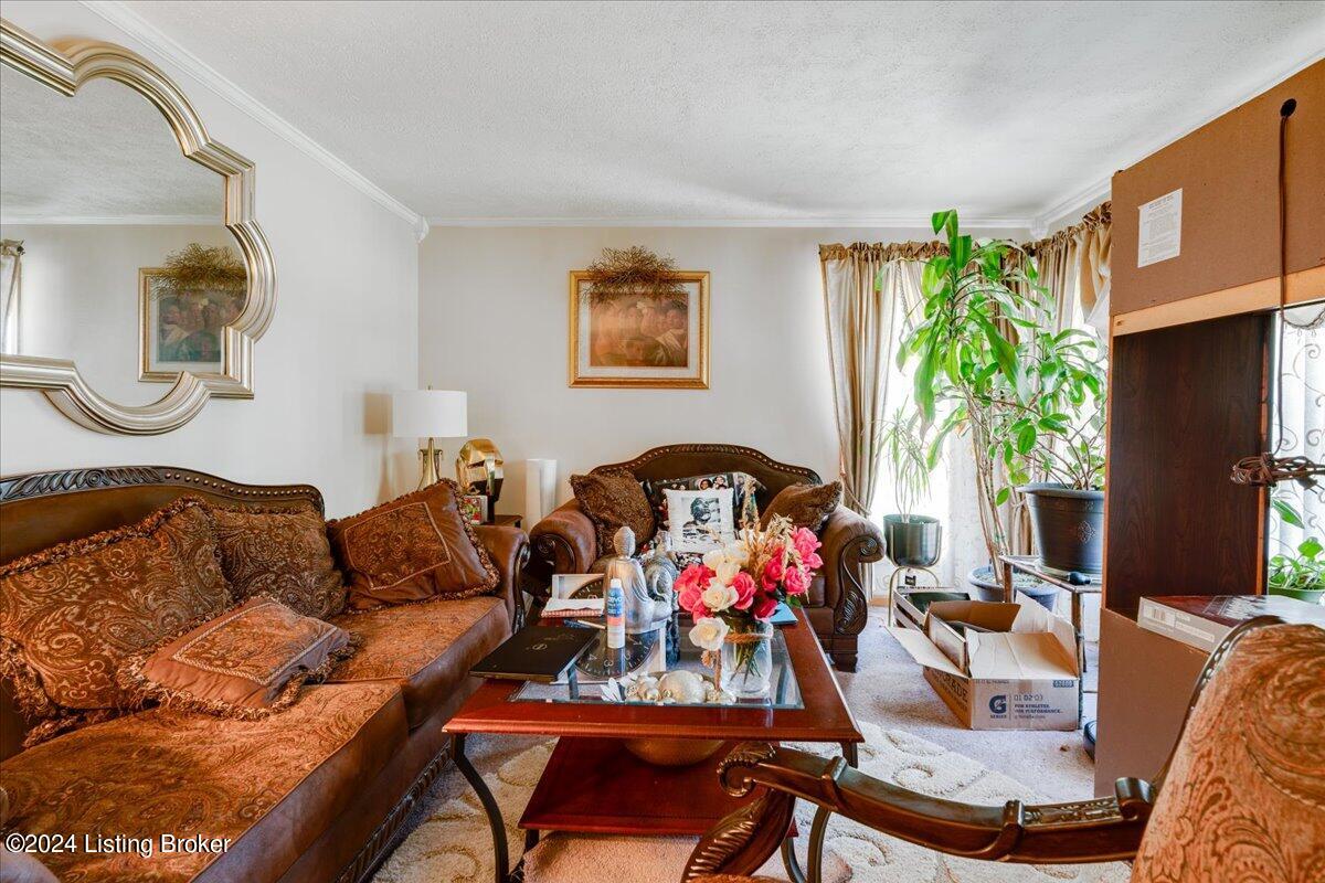 3608 Nellie Bly Dr