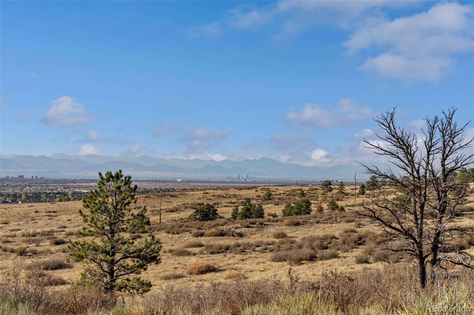 Open hillside with dry grass, scattered trees, distant city skyline, and mountain range.