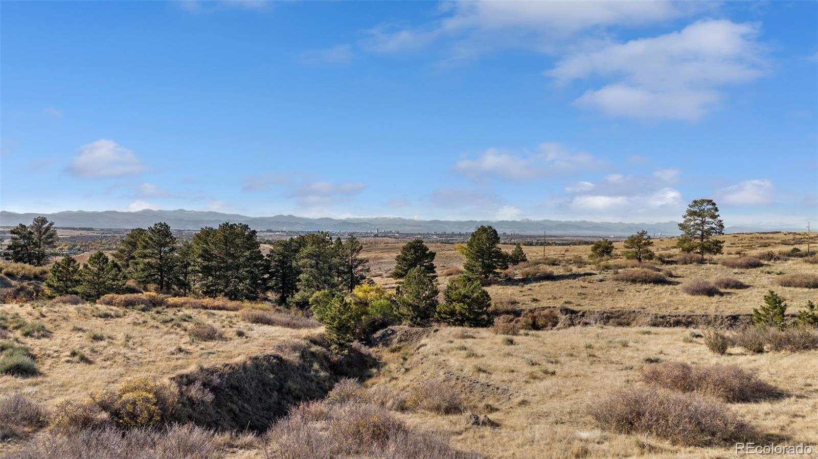 Open grassland with scattered pine trees, distant mountains, and buildings on the horizon.