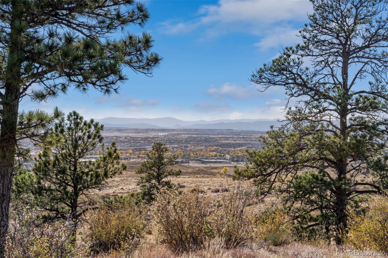 Mountain views across a developed valley, framed by pine trees on a dry hillside.