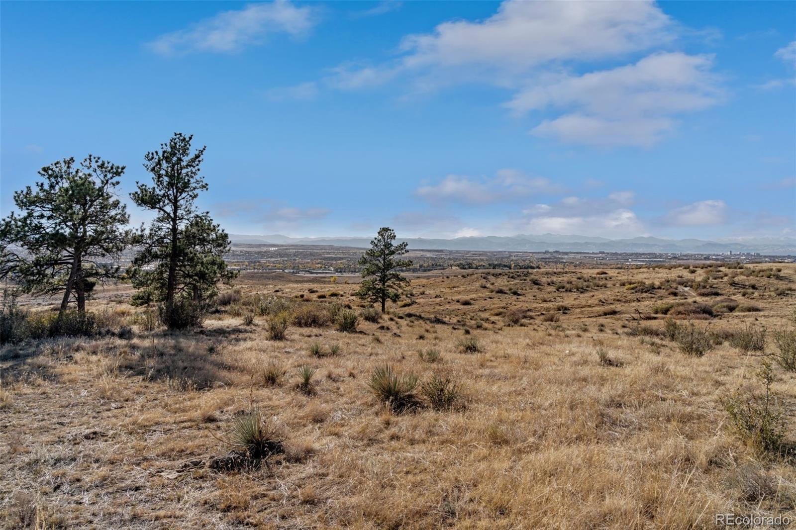 Open grassland with scattered pines overlooks a valley and distant mountains.