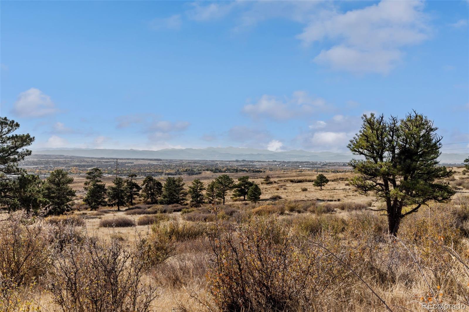 Dry grassland and scattered pines overlook a developed valley and distant mountain range.